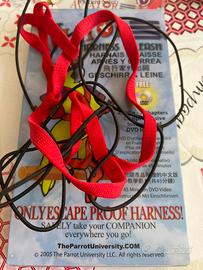 Pettorina per pappagalli