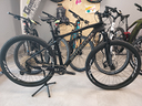 bottecchia-ortles-carbonio-29-