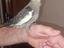 Immagine 2