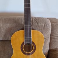 Chitarra Eko con custodia
