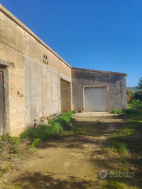 Terreno agricolo - Uliveto "Nocellara del Belice"