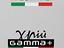 Immagine 6