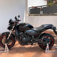 Honda Hornet CB 600 F- 2009