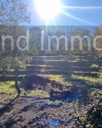 Terreno 3000mq panoramico con rudere a Presa