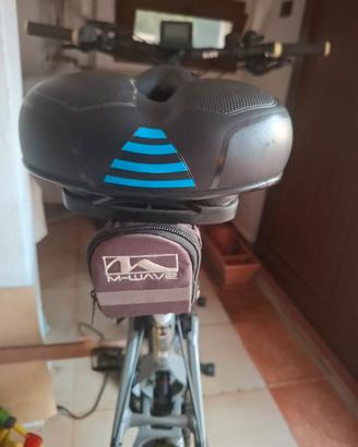 bicicletta elettrica usata 