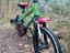 Immagine 2