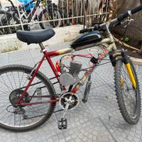 Bici a motore