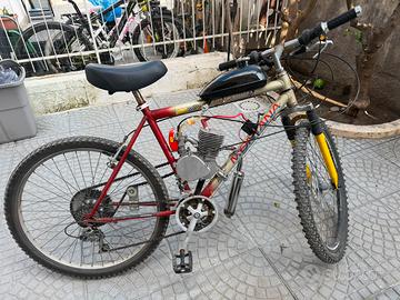 Bici a motore
