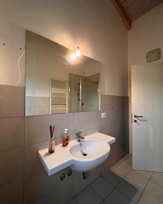 2 specchi da bagno