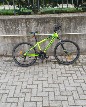 Bicicletta ragazzo/a