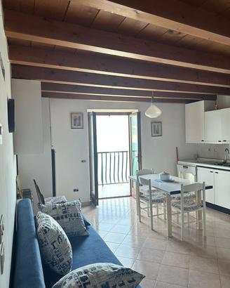 3 LOCALI A BRENZONE