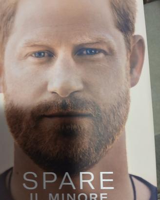 Spare il Minore