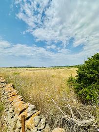 Terreno agricolo seminativo irriguo con rudere