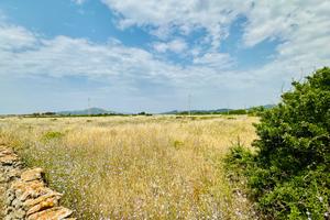 Terreno agricolo seminativo irriguo con rudere