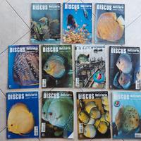 Riviste acquario discus