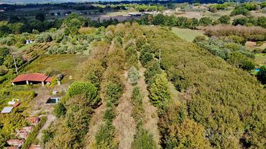 TER. AGRICOLO A MANZIANA