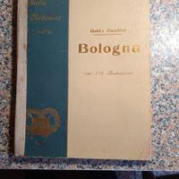 bologna