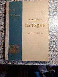 bologna