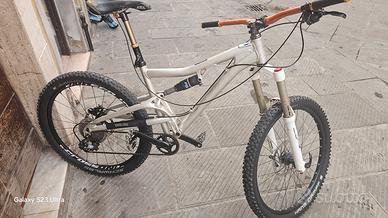 santa cruz Heckler  
