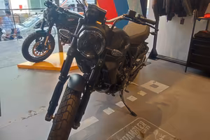 Ducati Scrambler icon dark 800 anno 2026