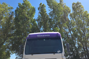 Ricambi man del 2006 per info 3493085509