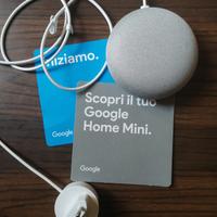 Google Home Mini. 