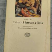 Romanzo autobiografico  o saggio