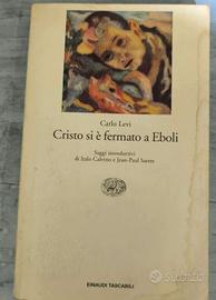 Romanzo autobiografico  o saggio
