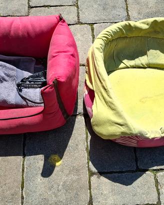 cuccie cappottini e cibo per cane