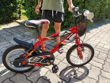Bicicletta 14