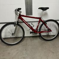 Mountain bike viscontea 26”