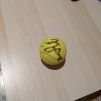 Pallina da tennis autografata Ivan Ljubičić