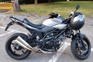 Suzuki SV x ter limited edition