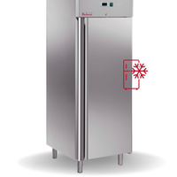 ARMADIO FRIGO (Freezer)  – Mod. GN650 BT 650L