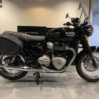 TRIUMPH Bonneville T 100