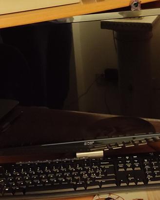 PC Fisso con Case marca ACER - Windows Vista
