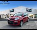fiat-panda-1-0-firefly-70cv-s-s-hybrid-pandina