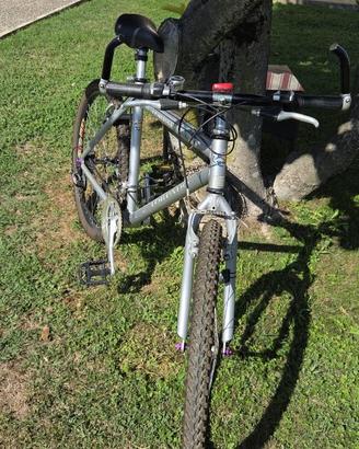 mountan bike ruote da 26