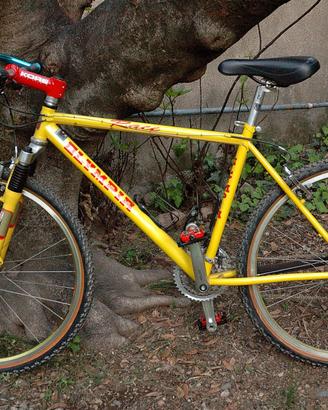 mountan bike Olympia race
