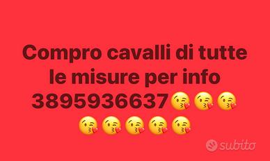 Vendoecomoprocavalli