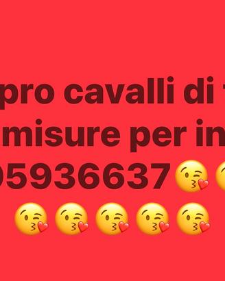 Vendoecomoprocavalli