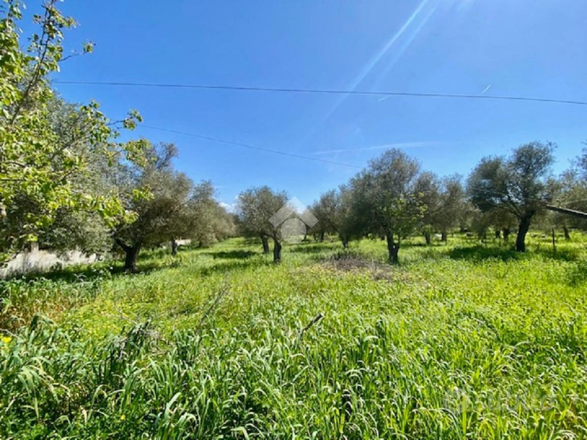 TER. AGRICOLO A ALGHERO - Vista 3