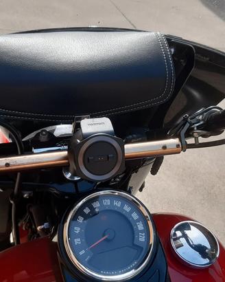 HD Heritage-Softail-Classic  114 c.i.