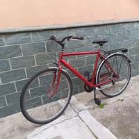 bici da uomo