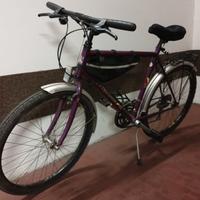 bici da passeggio bottechia