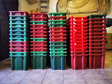 3 ABBACCHIATORI + 63 CASSETTE RACCOGLI OLIVE