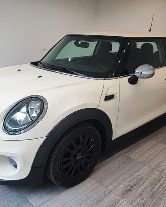 Mini 1.5 One D