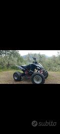 quad lem 250 racing