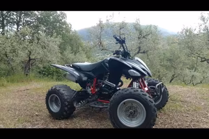 quad lem 250 racing