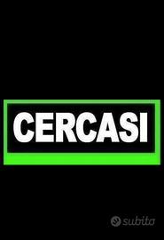 C E R C O roulotte stanziale zona cavallino VE